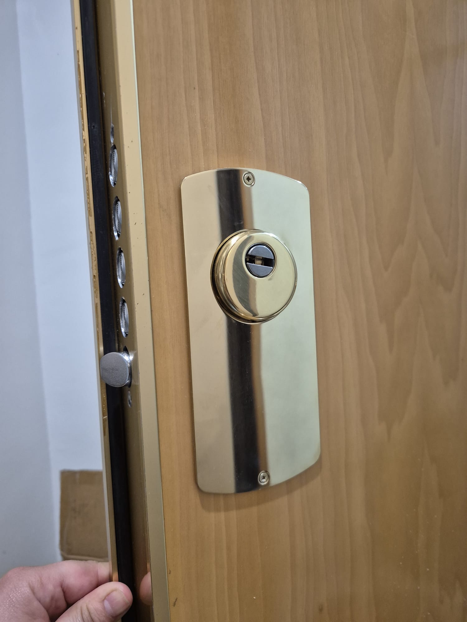 Puerta acorazada instalada en Madrid con escudo protector y múltiples puntos de cierre